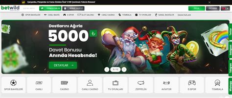 Betwild Telegram Adresi